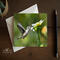 Am all occasion greeting card with fine photography of a humminghbird in a flower garden available at Cove Creek Photography.